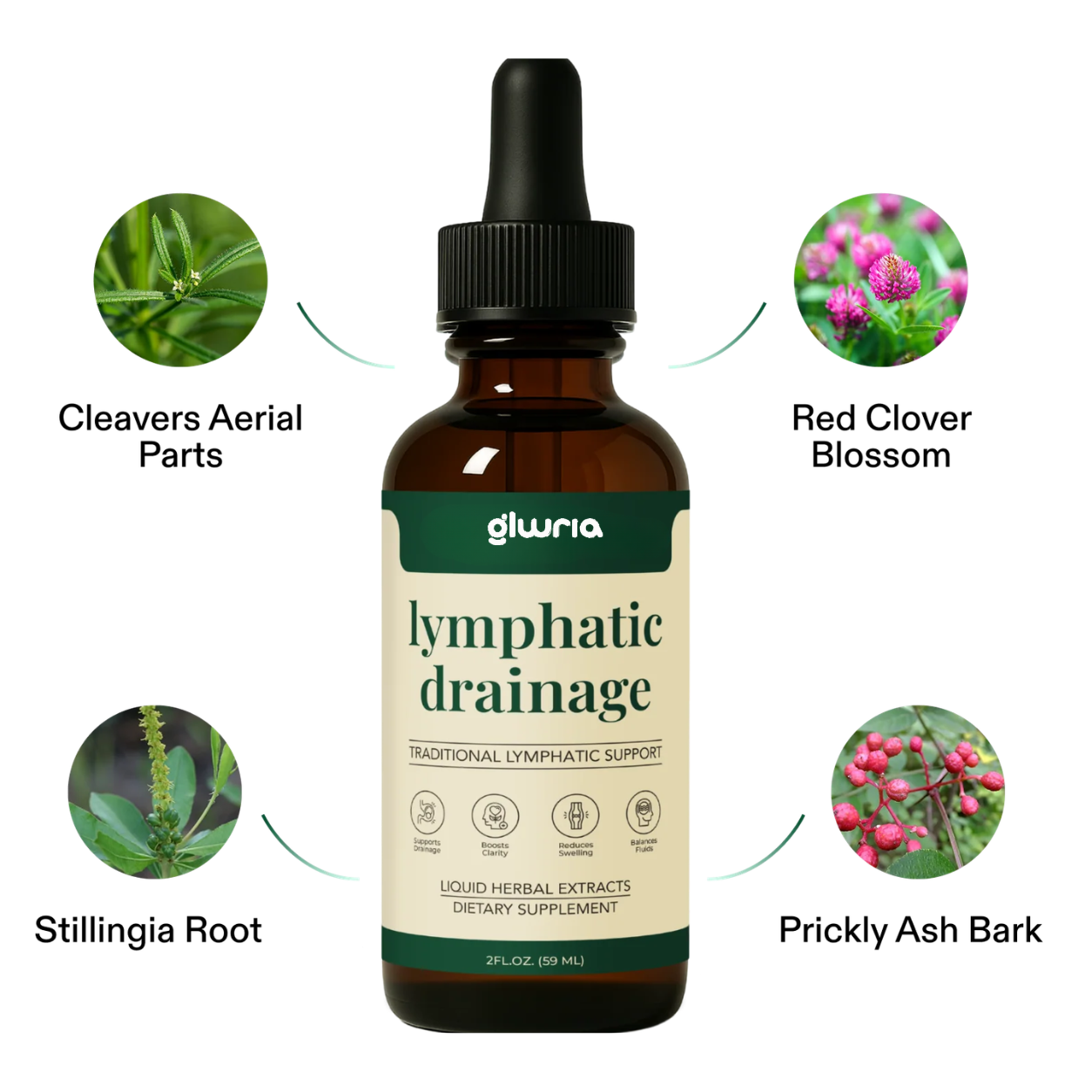 Glwria Lymphatic Drainage Drops