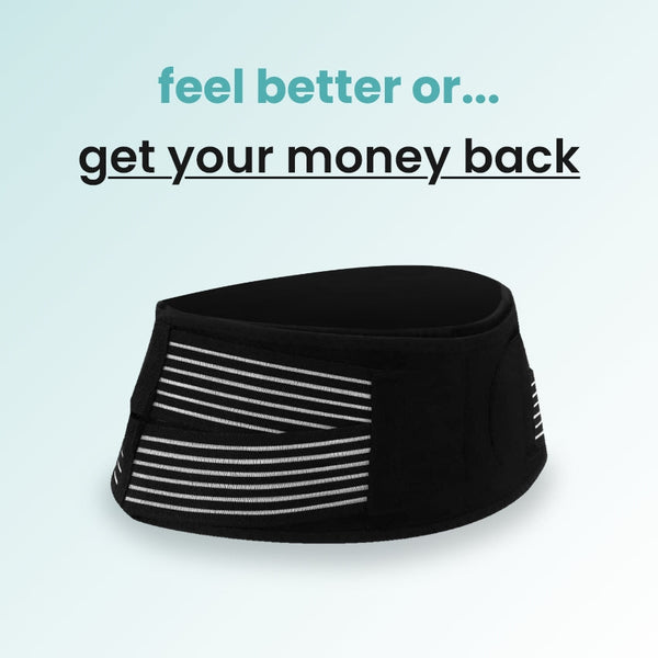 Back support belt