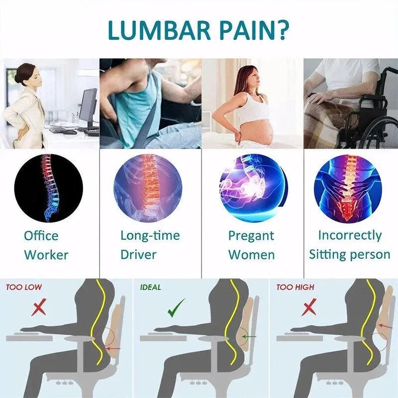 GLWRIA Ergonomic Seat Cushion – Sciatica Relief Pillow